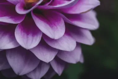 Reclaiming You: Inner Child